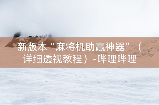 新版本“麻将机助赢神器”（详细透视教程）-哔哩哔哩