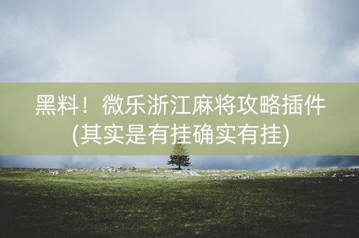 黑料！微乐浙江麻将攻略插件(其实是有挂确实有挂)