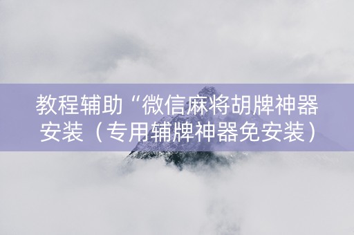 教程辅助“微信麻将胡牌神器安装（专用辅牌神器免安装）