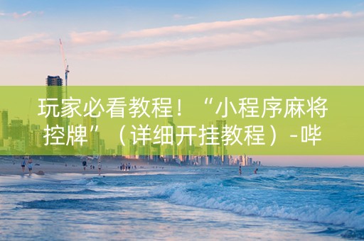 玩家必看教程！“小程序麻将控牌”（详细开挂教程）-哔哩哔哩