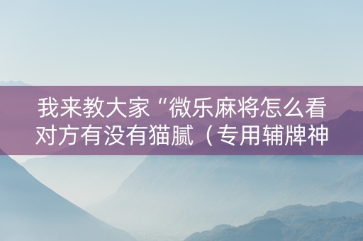 我来教大家“微乐麻将怎么看对方有没有猫腻（专用辅牌神器免安装）