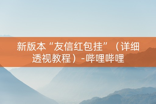 新版本“友信红包挂”（详细透视教程）-哔哩哔哩