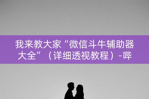 我来教大家“微信斗牛辅助器大全”（详细透视教程）-哔哩哔哩