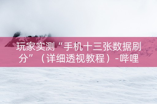 玩家实测“手机十三张数据刷分”（详细透视教程）-哔哩哔哩