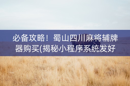 必备攻略！蜀山四川麻将辅牌器购买(揭秘小程序系统发好牌)