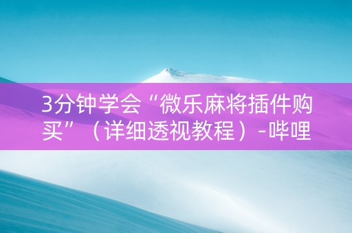 3分钟学会“微乐麻将插件购买”（详细透视教程）-哔哩哔哩