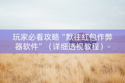 玩家必看攻略“默往红包作弊器软件”（详细透视教程）-哔哩哔哩