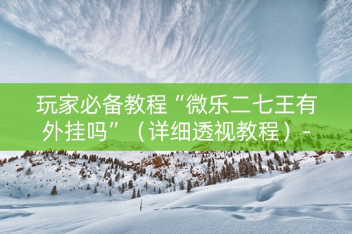 玩家必备教程“微乐二七王有外挂吗”（详细透视教程）-哔哩哔哩
