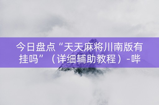 今日盘点“天天麻将川南版有挂吗”（详细辅助教程）-哔哩哔哩
