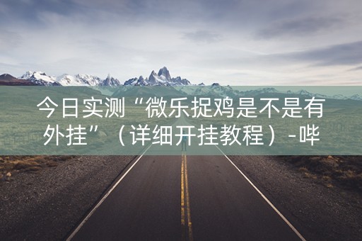 今日实测“微乐捉鸡是不是有外挂”（详细开挂教程）-哔哩哔哩