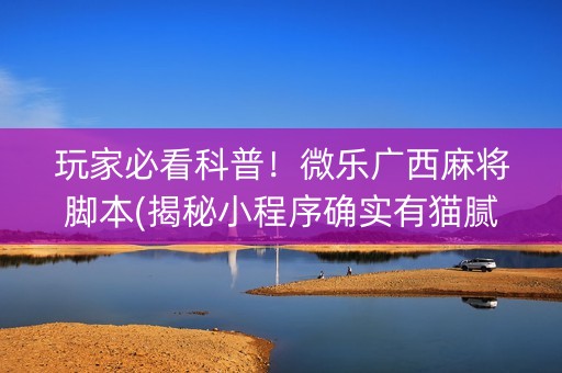 玩家必看科普！微乐广西麻将脚本(揭秘小程序确实有猫腻)