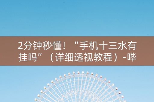 2分钟秒懂！“手机十三水有挂吗”（详细透视教程）-哔哩哔哩
