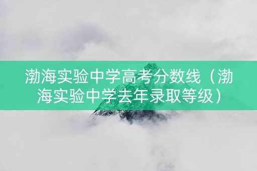 渤海实验中学高考分数线（渤海实验中学去年录取等级）