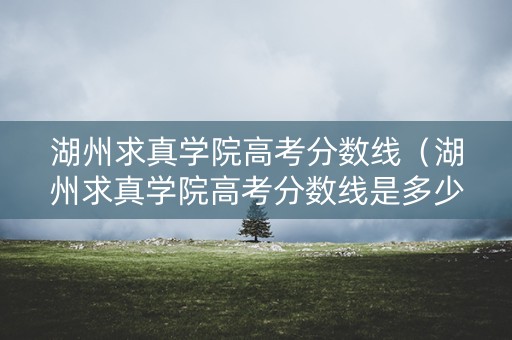 湖州求真学院高考分数线（湖州求真学院高考分数线是多少）
