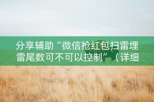 分享辅助“微信抢红包扫雷埋雷尾数可不可以控制”（详细透视教程）-哔哩哔哩
