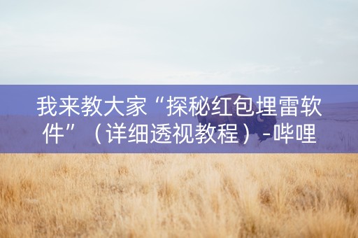 我来教大家“探秘红包埋雷软件”（详细透视教程）-哔哩哔哩