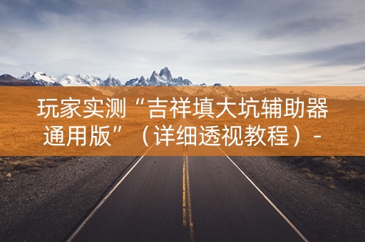 玩家实测“吉祥填大坑辅助器通用版”（详细透视教程）-哔哩哔哩
