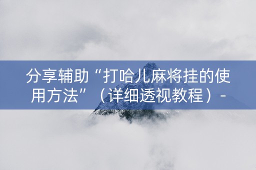 分享辅助“打哈儿麻将挂的使用方法”（详细透视教程）-哔哩哔哩