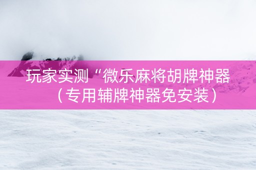 玩家实测“微乐麻将胡牌神器（专用辅牌神器免安装）