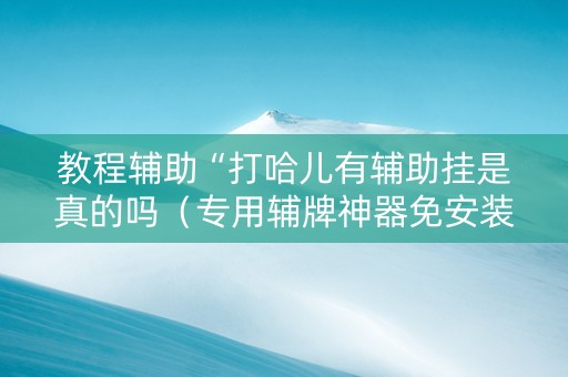 教程辅助“打哈儿有辅助挂是真的吗（专用辅牌神器免安装）