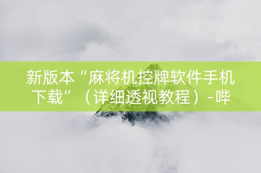 新版本“麻将机控牌软件手机下载”（详细透视教程）-哔哩哔哩