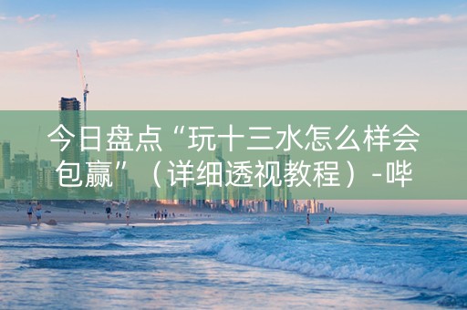 今日盘点“玩十三水怎么样会包赢”（详细透视教程）-哔哩哔哩