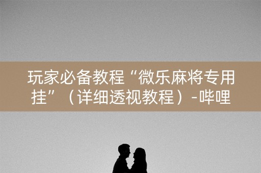 玩家必备教程“微乐麻将专用挂”（详细透视教程）-哔哩哔哩