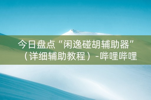 今日盘点“闲逸碰胡辅助器”（详细辅助教程）-哔哩哔哩