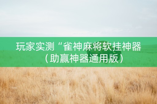 玩家实测“雀神麻将软挂神器（助赢神器通用版）