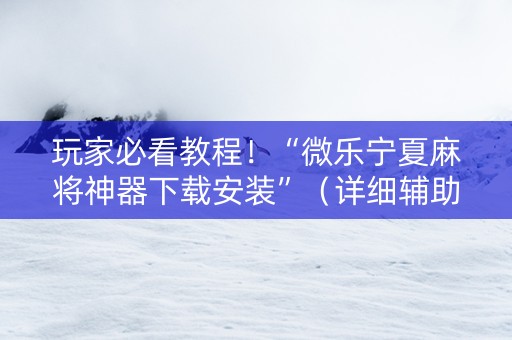 玩家必看教程！“微乐宁夏麻将神器下载安装”（详细辅助教程）-哔哩哔哩