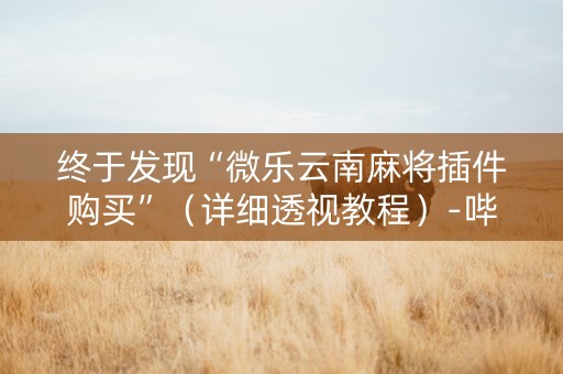 终于发现“微乐云南麻将插件购买”（详细透视教程）-哔哩哔哩