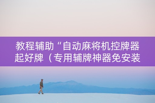 教程辅助“自动麻将机控牌器起好牌（专用辅牌神器免安装）