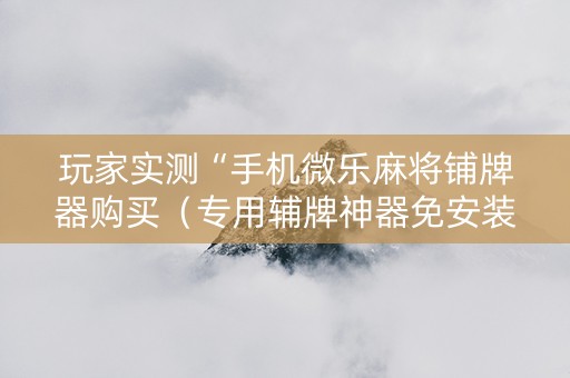 玩家实测“手机微乐麻将铺牌器购买（专用辅牌神器免安装）