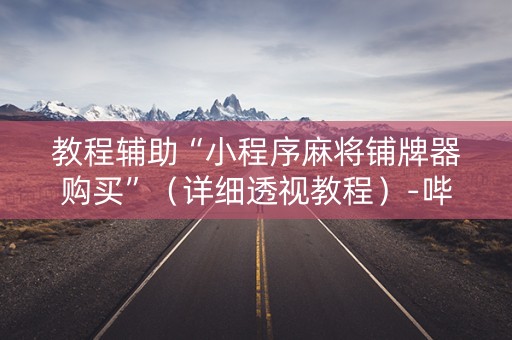 教程辅助“小程序麻将铺牌器购买”（详细透视教程）-哔哩哔哩