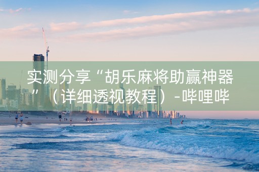 实测分享“胡乐麻将助赢神器”（详细透视教程）-哔哩哔哩