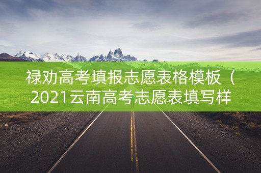 禄劝高考填报志愿表格模板（2021云南高考志愿表填写样本）
