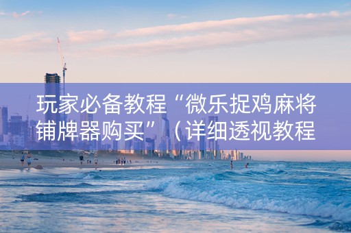 玩家必备教程“微乐捉鸡麻将铺牌器购买”（详细透视教程）-哔哩哔哩