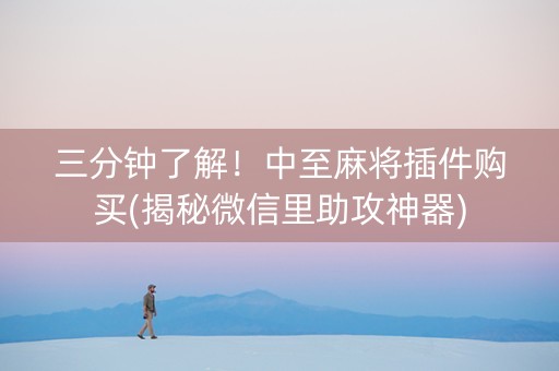 三分钟了解！中至麻将插件购买(揭秘微信里助攻神器)