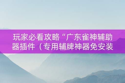 玩家必看攻略“广东雀神辅助器插件（专用辅牌神器免安装）