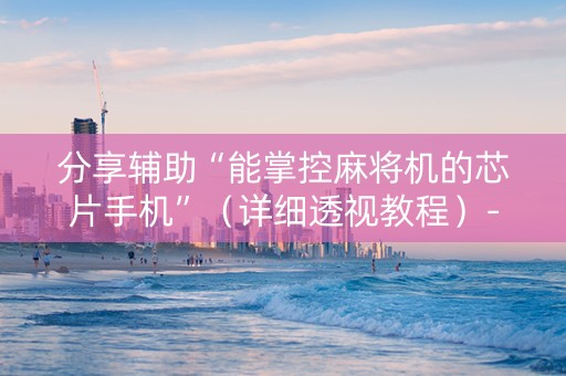 分享辅助“能掌控麻将机的芯片手机”（详细透视教程）-哔哩哔哩