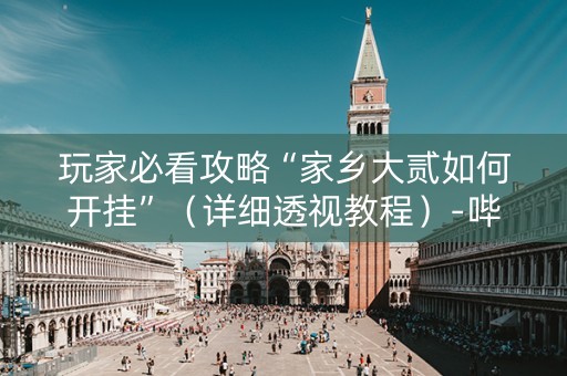 玩家必看攻略“家乡大贰如何开挂”（详细透视教程）-哔哩哔哩