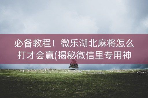必备教程！微乐湖北麻将怎么打才会赢(揭秘微信里专用神器)
