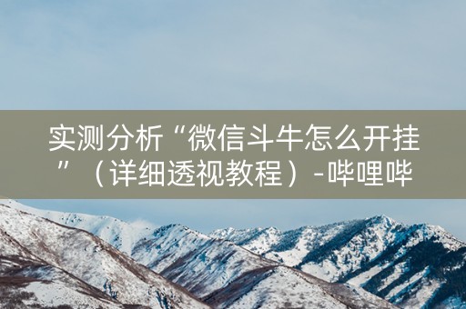 实测分析“微信斗牛怎么开挂”（详细透视教程）-哔哩哔哩