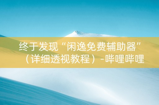 终于发现“闲逸免费辅助器”（详细透视教程）-哔哩哔哩