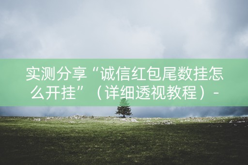 实测分享“诚信红包尾数挂怎么开挂”（详细透视教程）-哔哩哔哩