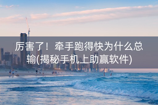 厉害了！牵手跑得快为什么总输(揭秘手机上助赢软件)