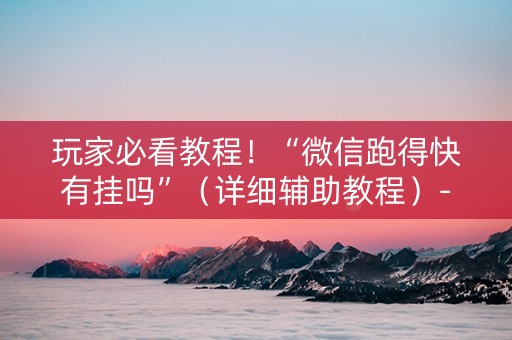 玩家必看教程！“微信跑得快有挂吗”（详细辅助教程）-哔哩哔哩