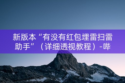 新版本“有没有红包埋雷扫雷助手”（详细透视教程）-哔哩哔哩