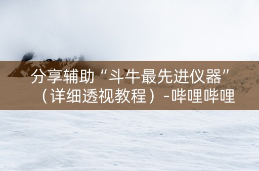 分享辅助“斗牛最先进仪器”（详细透视教程）-哔哩哔哩