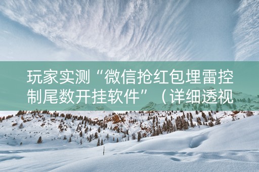 玩家实测“微信抢红包埋雷控制尾数开挂软件”（详细透视教程）-哔哩哔哩
